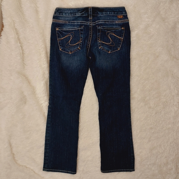 SILVER Jeans Santorini Denim Capri Pants, Size  28 - Picture 3 of 11